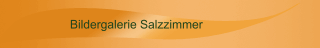 Bildergalerie Salzzimmer